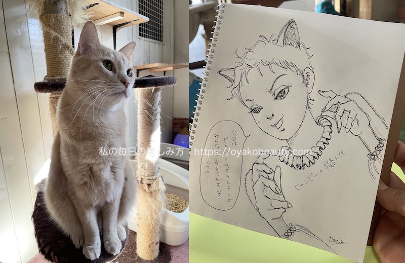 うちの猫を描いてみたよ 猫の擬人化イラストのお絵描きが楽しい 私の毎日の楽しみ方